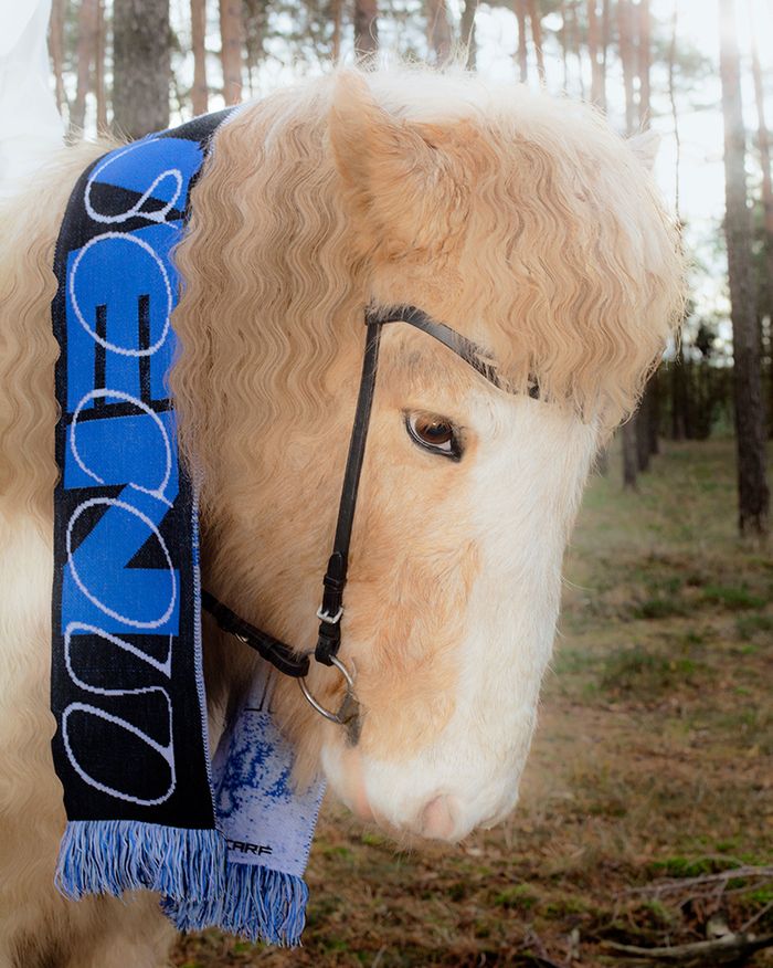 Typescarf season 3 3