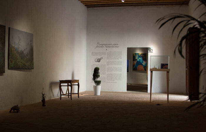 Campamento Para Jóvenes Naturalistas exhibition 3