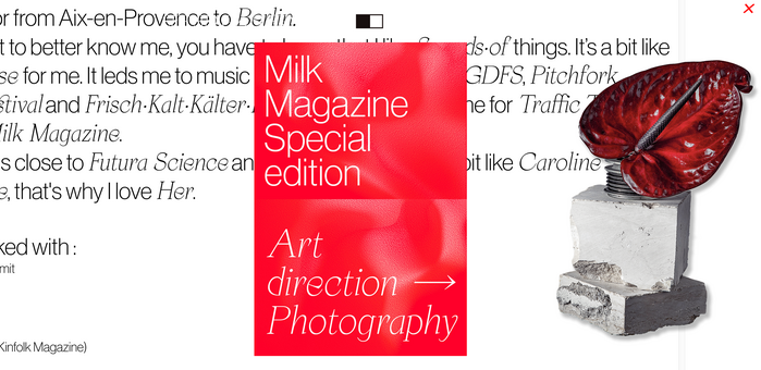 Margaux Lallart website 2