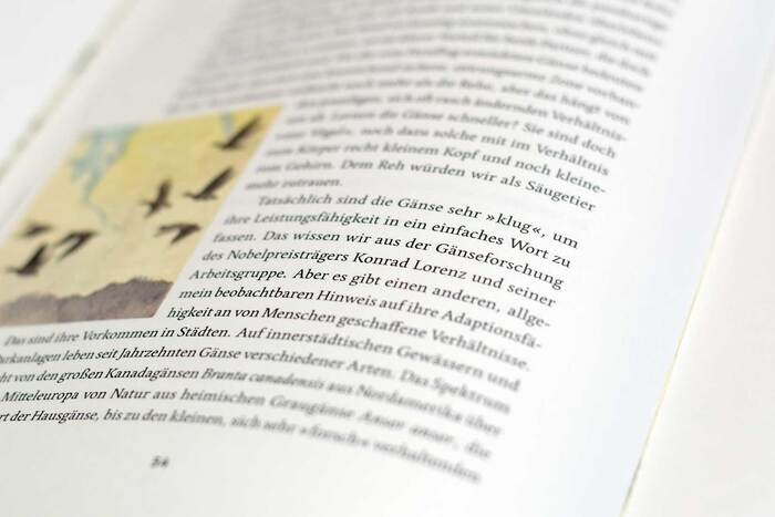 Symbiosen. Das erstaunliche Miteinander in der Natur 8