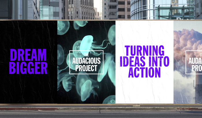 The Audacious Project (TED Conferences) 7