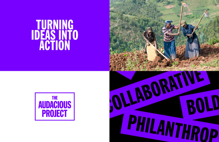 The Audacious Project (TED Conferences) 3