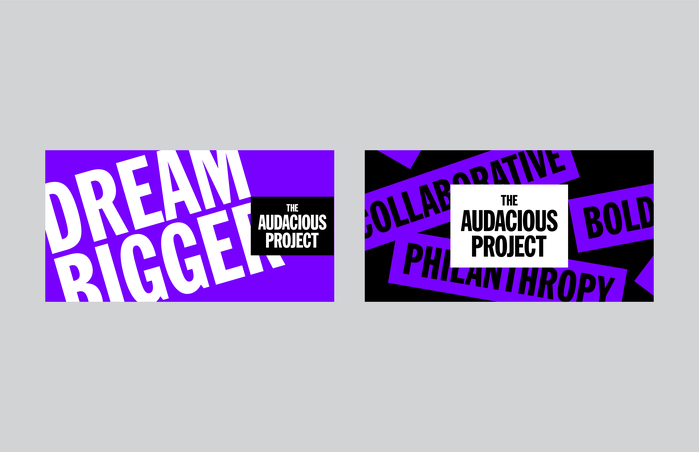 The Audacious Project (TED Conferences) 10