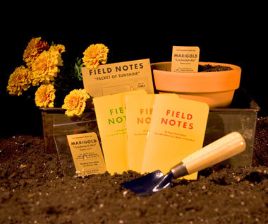 Field Notes 4