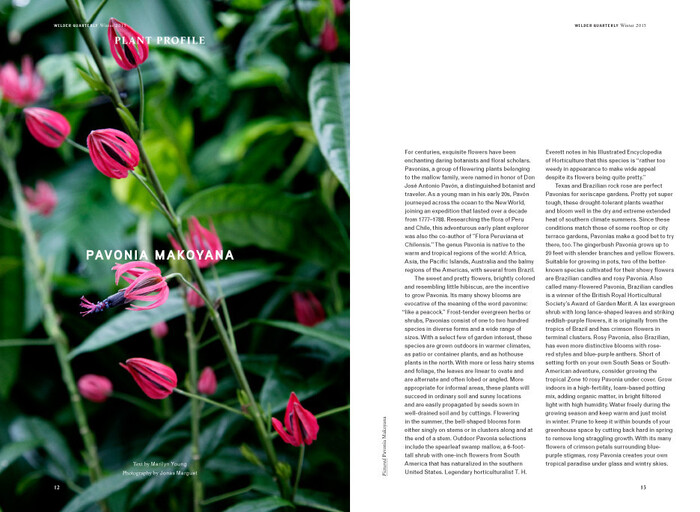 Wilder Quarterly 2011–13 4