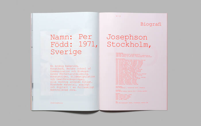 I Afton Dans… Sista Steget exhibition catalogue 12