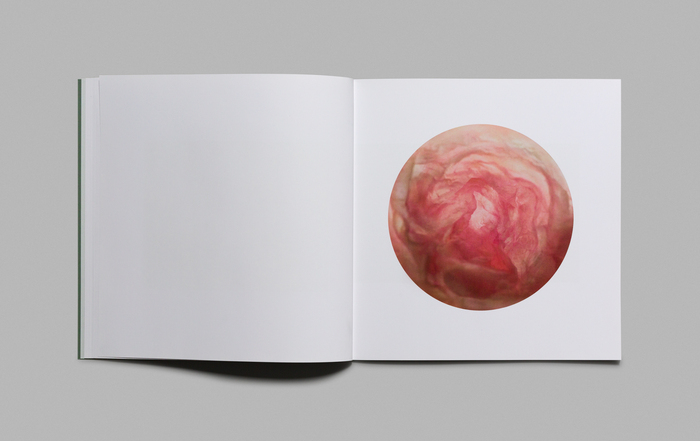 Lovisa Ringborg, Night Remains 7