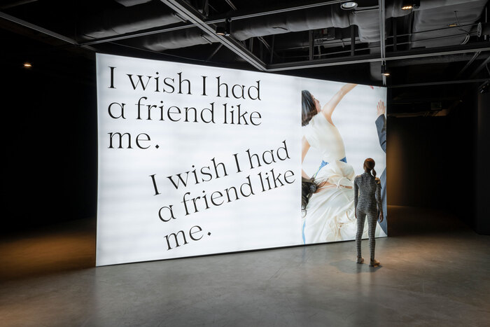 Halominium’s I wish I had a friend like me collection 1