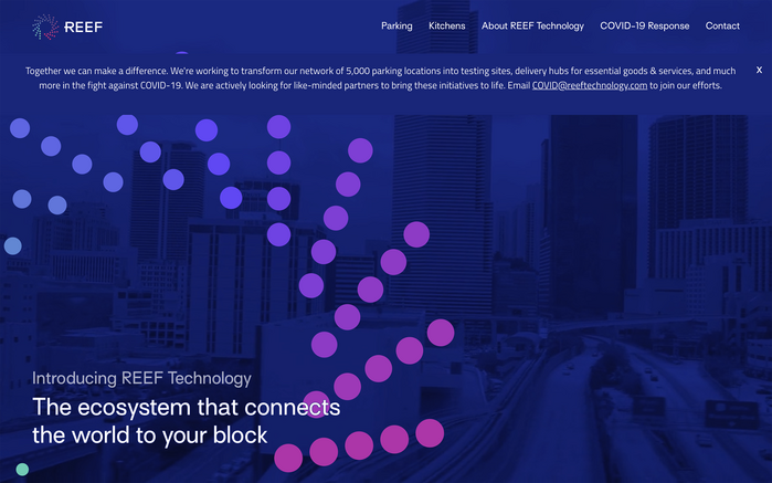 REEF website 1