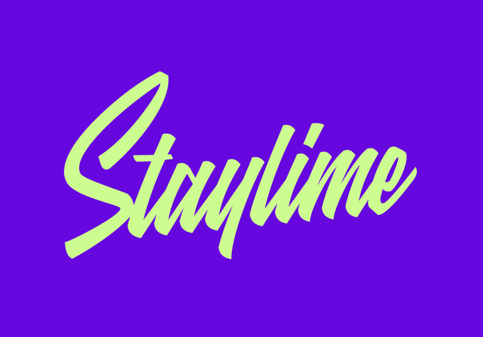 Staylime website and logo 7