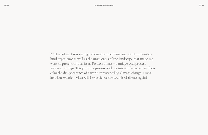 Vasantha Yogananthan portfolio website 4