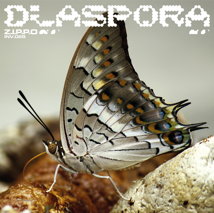 Z.I.P.P.O – Diaspora EP 2
