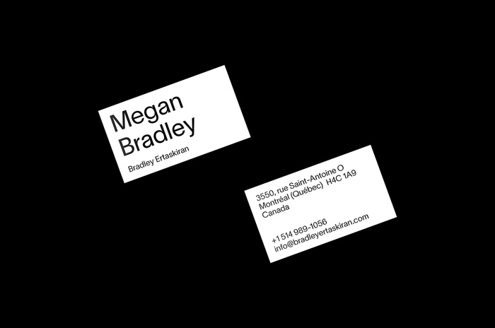 Bradley Ertaskiran art gallery 2