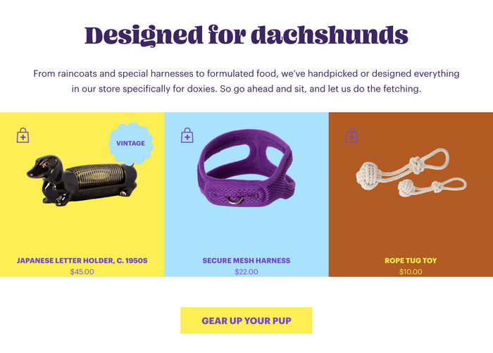 Witzig logo and website 5