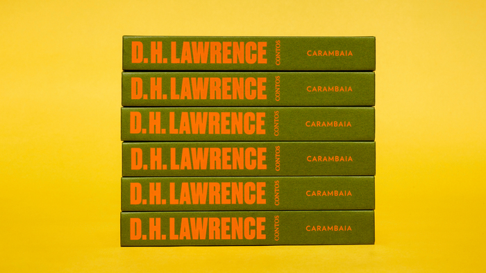 As mulheres contam by D.H. Lawrence 2