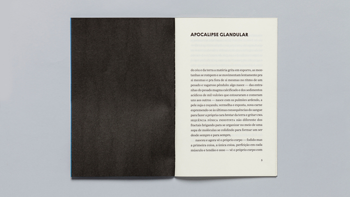 Textos para nada, Ornitorrinco Press 11