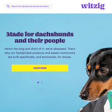 Witzig logo and website