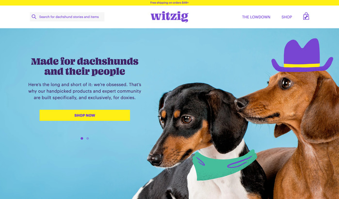 Witzig logo and website 3