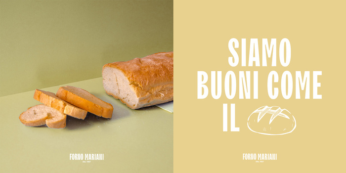 Forno Mariani 3