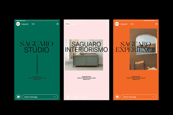 Saguaro visual identity 1