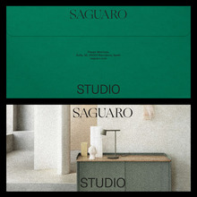 Saguaro visual identity