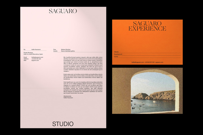 Saguaro visual identity 2