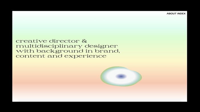 Phuong Nguyen portfolio website 2