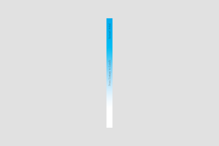 From Ecstasy to Lunch by Samuel Ben-Or Avital 5