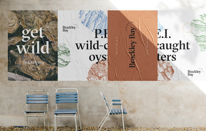 Brackley Bay Oyster Co. visual identity 2