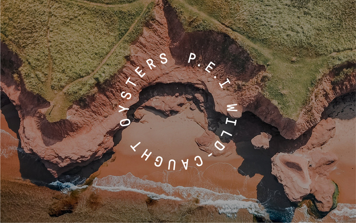 Brackley Bay Oyster Co. visual identity 4