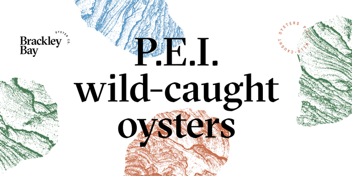 Brackley Bay Oyster Co. visual identity 5