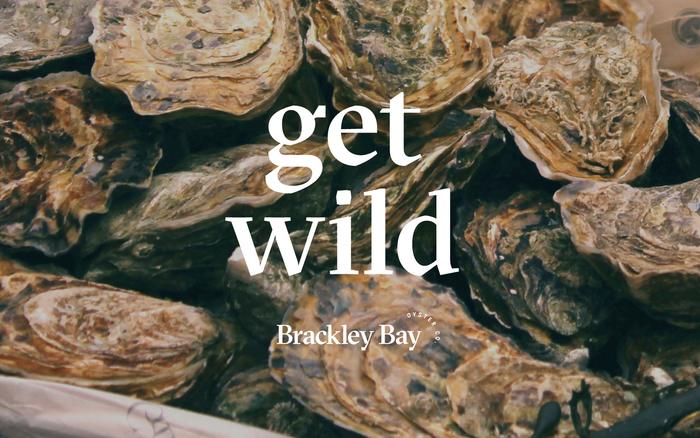 Brackley Bay Oyster Co. visual identity 6