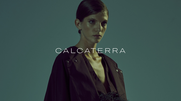 Calcaterra website 1