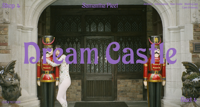 Samantha Pleet 5