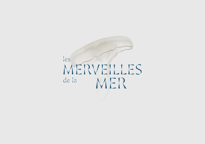 Les Merveilles de la Mer (rebranding proposal) 1