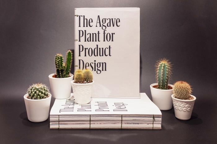 The Agave Plant for Product Design 1