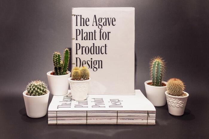 The Agave Plant for Product Design 1
