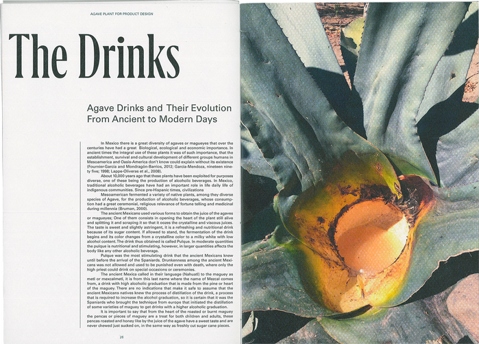 The Agave Plant for Product Design 2