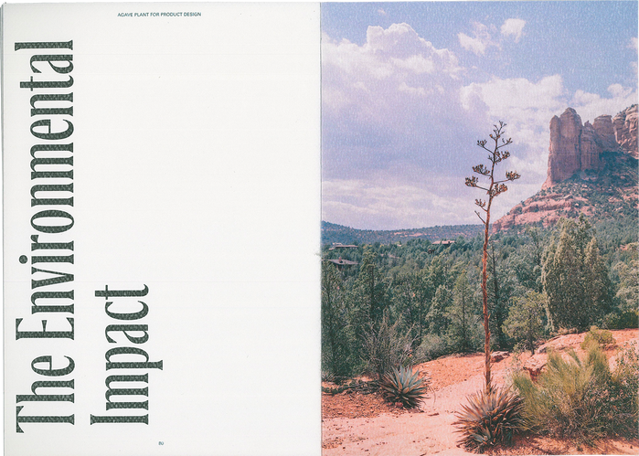 The Agave Plant for Product Design 6