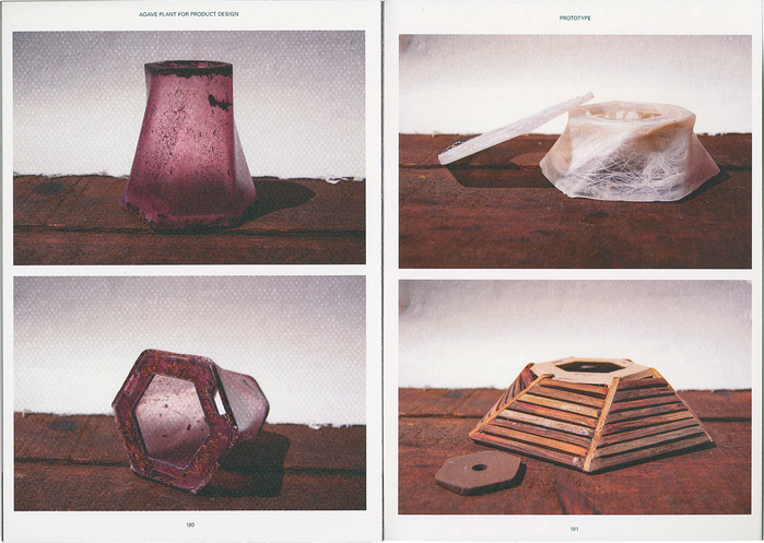 The Agave Plant for Product Design 11