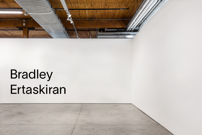 Bradley Ertaskiran art gallery 1