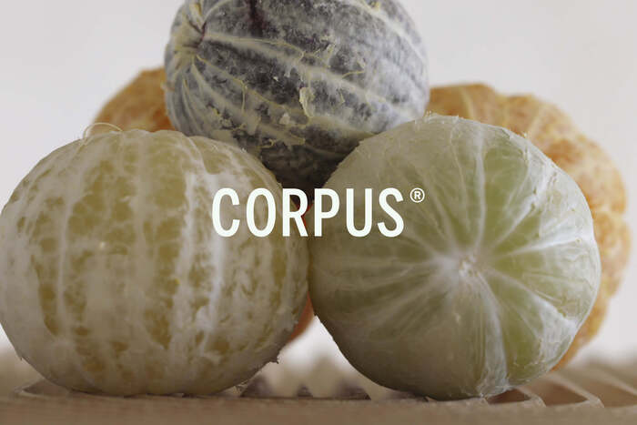 Corpus Naturals deodorants 1