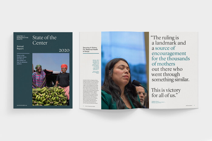 Center for Reproductive Rights visual identity 6