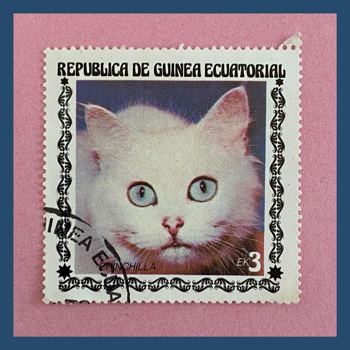 Cat stamps from Equatorial Guinea 2