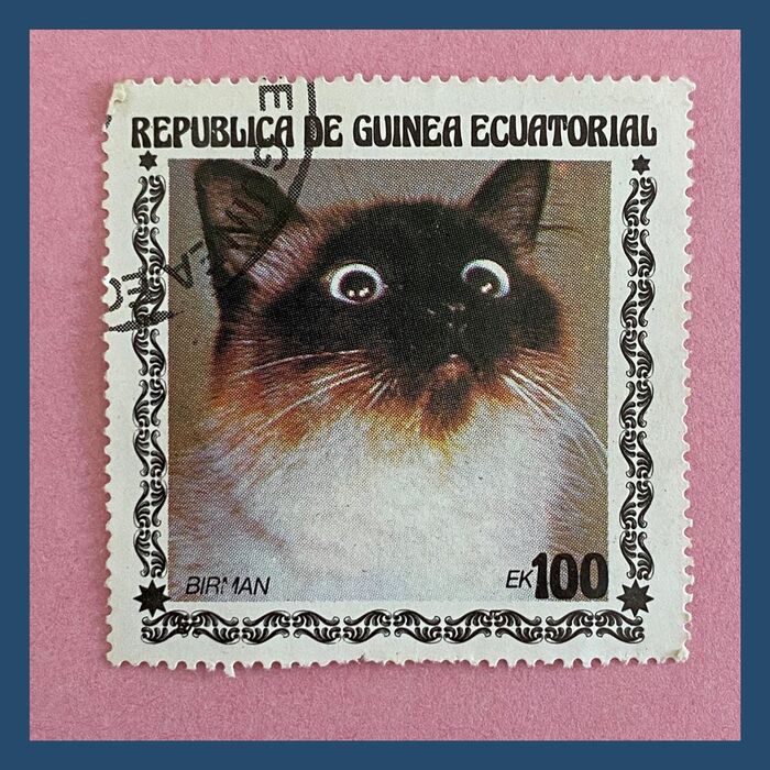 Cat stamps from Equatorial Guinea 4