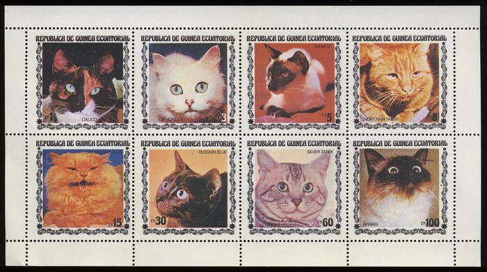 Cat stamps from Equatorial Guinea 1