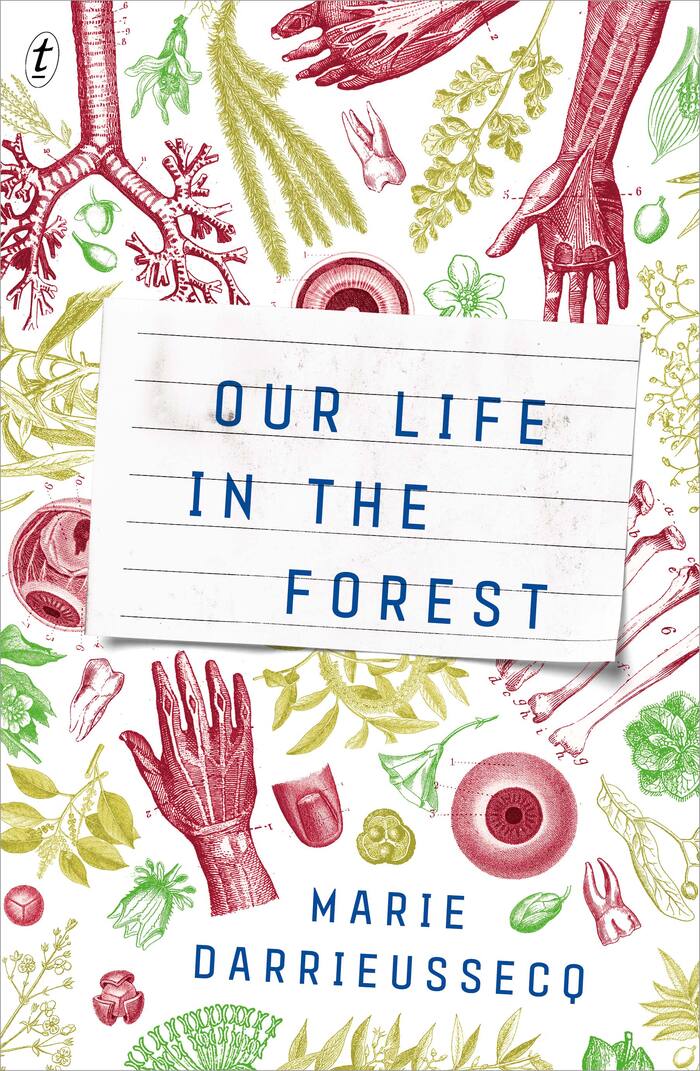 Our Life in the Forest by Marie Darrieussecq