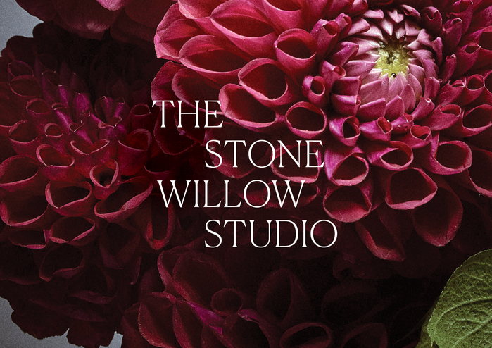 The Stone Willow Studio 1