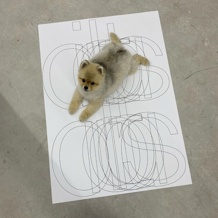 ORKR 9