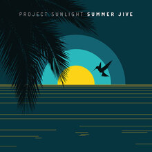 Project Sunlight single record covers